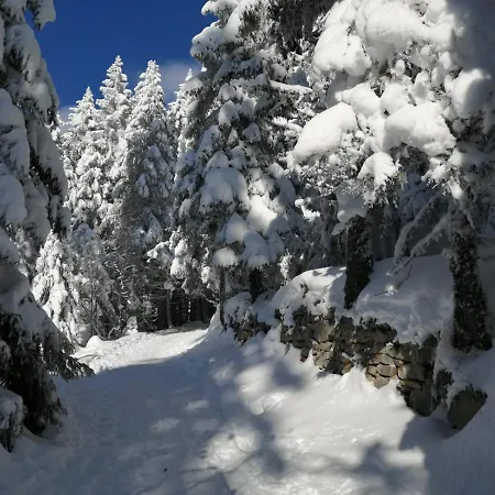 Le Winzer Bergheim